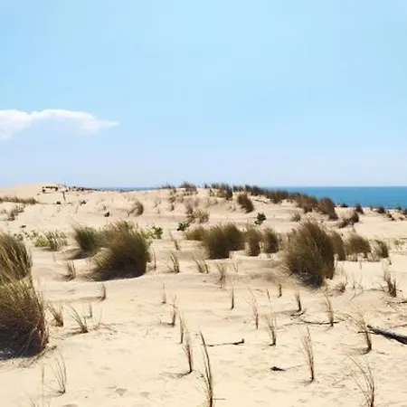 Casa de Férias 4 Pieces Familiale, Animaux Bienvenus, Parking, Proche - Fr-1-705-109 *