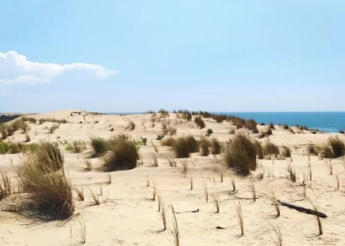 Casa de Férias 4 Pieces Familiale, Animaux Bienvenus, Parking, Proche - Fr-1-705-109 *